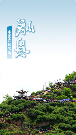 太阳城娱乐网址