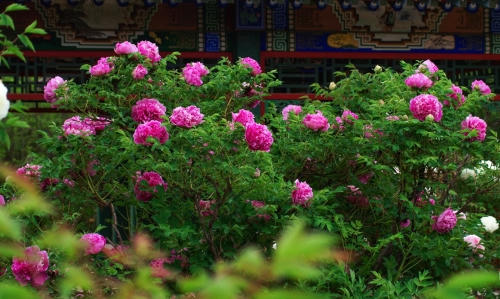 太阳城娱乐网址