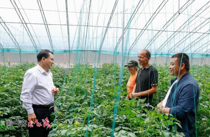 太阳城娱乐网址